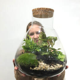 Ecosysteem in glas, een minituin in huis. - Wonderful is een verwonderwinkel in natuurlijke woonaccessoires